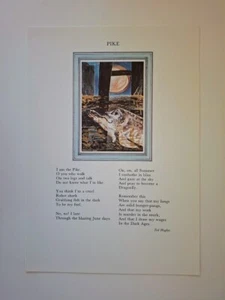 TED HUGHES GATO CUCO ANCHO POEMA R J LLOYD 1987 1/200 COPIAS LUCIO PEZ - Imagen 1 de 1