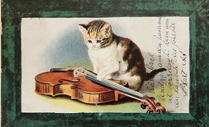 Kitty Cat Plays Violin Fiddle Antique Kitten Postcard c1900 - Bild 1 von 5