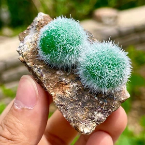 Cristallo di quarzo zeolite tarassaco indiano 95G esemplare minerale a grappolo - Foto 1 di 10