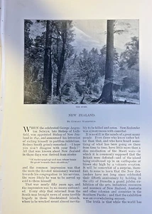 1892 Nuova Zelanda Il Monte Bush Massacro di Egmont Hill Nativi Maori - Foto 1 di 7