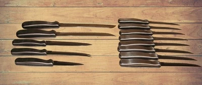 13 cuchillos dentados de acero inoxidable cepillado de mango pesado GINSU Foto 1 de 4