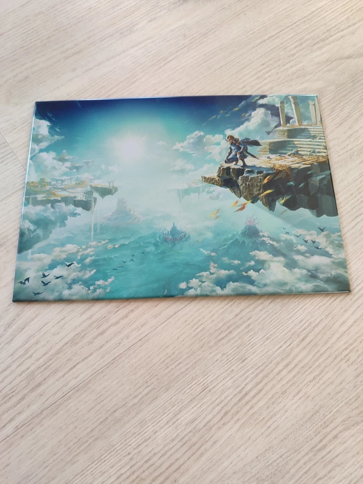 Zelda Tears Of The Kingdom Metallposter - Bild 1 von 4