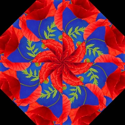 Kit de edredón precortado Kit de bloque de 12-7" Kit de caleidoscopio precortado AMAPOLAS REALES Foto 1 de 4