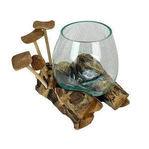 Handcrafted Glass Vase with Teak Driftwood and Wood Mushroom Embellishments - Picture 1 of 6