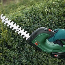 Baum- und Strauchpflege