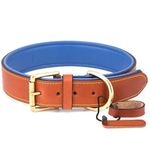 Leather Dog Collar Neck Belt for Medium Dogs 14.5 to 17.5 - Picture 1 of 6