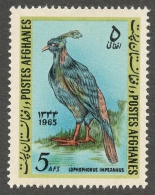 AOP 阿富汗 #709 1965 鸟 5af 全新无标签  — 第 1/2 张图片