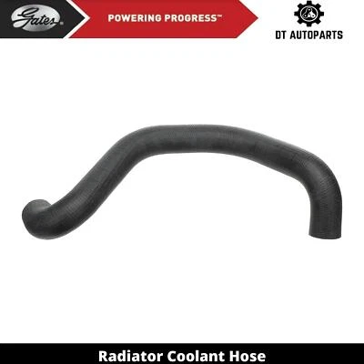 Manguera de refrigerante de radiador puertas superiores para Ford F-150 1980-1984 1981 1982 1983 Foto 1 de 4