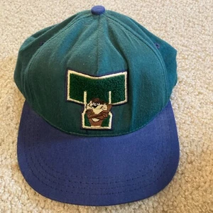 NUEVO Acmne Tazmania Jóvenes Niños Talla 4-6 Gorra Gorra de Béisbol Azul Verde Ajustable - Imagen 1 de 11