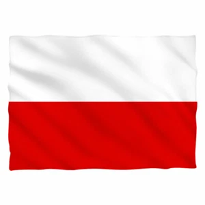 Funda de almohada estampada por sublimación con tinte de bandera polaca - Imagen 1 de 1