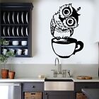 Cartoon Owl On Mug Sticker Cute Tilted Head Owl Decal  Home  Decor