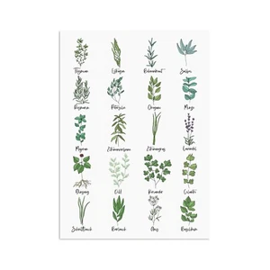 Postkarte Küchenkräuter Grußkarte Kräuter - Picture 1 of 4