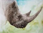 Rhinoceros Original Watercolor Painting Rhino Nursery Animal Art Zoo Kids Room