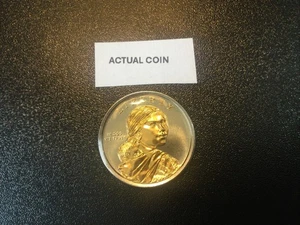 2017 D Native American Dollar Platinum and Gold Highlighted Sacagawea - Picture 1 of 3