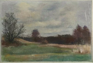 ::FRANZ EHMKE *1928 -2018 BERLIN AM SCHILDOWER BERG BÄUME GRAS PASTELL SIGNIERT  - Bild 1 von 5