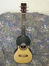 guitarrico apc gui 312 custodia rigida inclusa