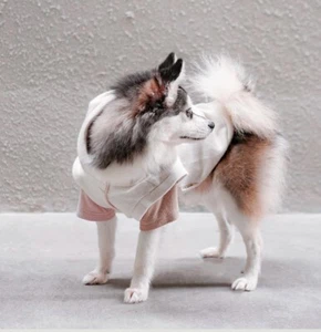 Neu mit Etikett Lambwolf Collective Robin Hund "Hoodie" weich elfenbein Größe M - Bild 1 von 10
