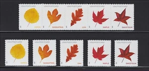 US Scott # 5966-5970 Vibrant Leaves Post Card Rate MNH from Pane 2025 - Picture 1 of 1