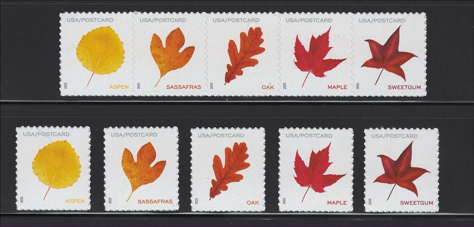 US Scott # 5966-5970 Vibrant Leaves Post Card Rate MNH from Pane 2025 - Image 1 of 1