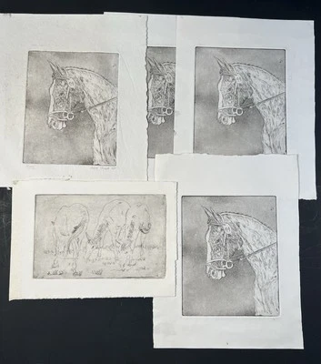 Collection Of 5 Vintage Horse Engraving Prints Portrait & Grazing Horses Art - Image 1 of 4