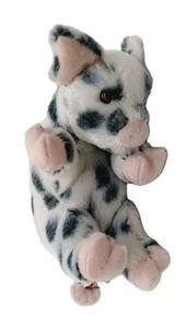 Lil Baby Fleckschwein Stofftier Douglas Kuscheltiere #9872 - Bild 1 von 8