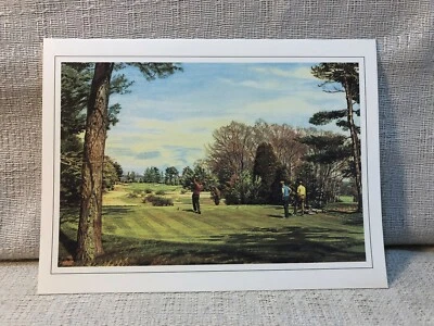 Tarjetas y sobres de 12 tarjetas de notas del club de golf Arthur Weaver Pine Valley agujero 9 Foto 1 de 3