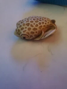 Dije de palma de pez puffa, ediciones de carpeta IvoryAdam - Imagen 1 de 3