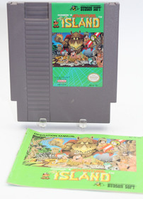 Adventure Island (Nintendo Entertainment System NES, 1988) w/Manual