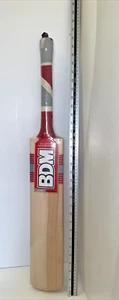 NEW BDM Gold Medalists Kashmir Willow Cricket Bat For Catching Practice (CB017) - Picture 1 of 2