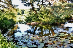 Chicago Botanic Garden Monet wie original signiertes Giclée Foto von Arnold - Bild 1 von 2