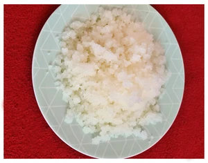 50g Wasserkefir Kristalle für probiotisches Getränk / Kefirpilz - Bild 1 von 2