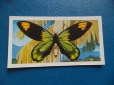 Great Britain Brooke Bond original 1964 teacard "Butterflies of the World" No.17