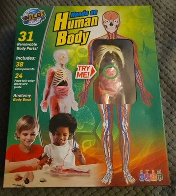 Wild! Science Hands On Human Body Anatomy Learning Activity Kit New 6+ - Image 1 of 4