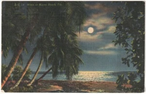 Moon At Miami Beach, Florida, Vintage 1950 Linen Postcard - Picture 1 of 2