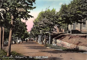 6701) CAMUGNANO (BOLOGNA) VIALE ROMA. ANIMATA. VIAGGIATA NEL 1956. - Imagen 1 de 2