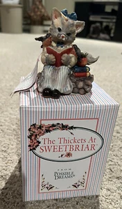 1996 Kitty The Thickets At Sweetbriar PATIENCE FINNEY Figurine NIB - Picture 1 of 11