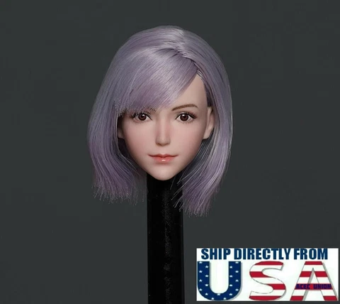 1/6 Female Head Sculpt Purple Hair PALE For 12" Hot Toys PHICEN TBLeague Figure Cover