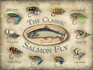 The Classic Salmon Fly design metal sign 30cm x 40cm - Picture 1 of 1