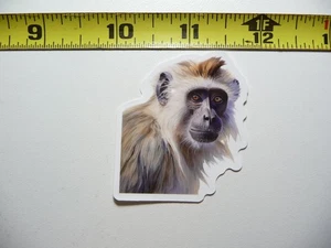 ADESIVO SCIMMIA LANGUR DECALCOMANIA CONSERVAZIONE FAUNA SELVATICA NATURA ANIMALE - Foto 1 di 1