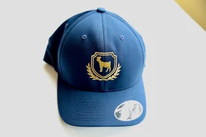 ๐ The Players Championship "GOLDEN GOAT" Golf Hat - ULTRA RARE! Flex Fit๐ - Picture 1 of 3