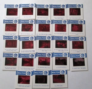 35mm Slides  Lot Of 23 Hampton Court Buckingham Palace London Westminster Abbey - Picture 1 of 12
