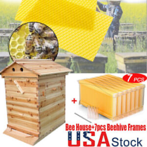 7PCS Auto Run Beehive Comb Hive Frames Or Beehive Wooden Beekeeping Bee House