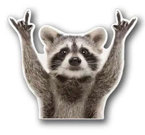 Funny and Cute Rock On Raccoon sticker Decal Sticker 4.25" Wide Vinyl - Picture 1 of 2
