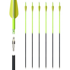 12pcs Archery 30" Carbon Arrows for Compound Recurve Bow Hunting - Picture 1 of 23