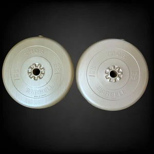 2 placas de peso con barra de plástico Thor de 25 lb doradas (50 lb) ENVÍO GRATUITO - Imagen 1 de 6