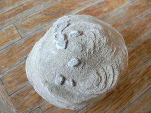 ¡Impresionante! CONCRECIÓN DE ARENA #J583 - Imagen 1 de 1