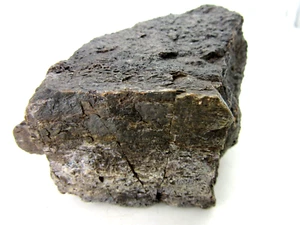 Dinosaurier Fossil Knochenfragment Morrison Formation Oberjura - Bild 1 von 12