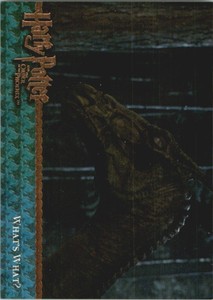 2007 Harry Potter and the Order of the Phoenix Update #121 What's What?