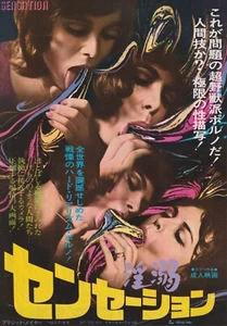 Póster de la película japonesa Chirashi Sensations 1975 Veronique Monod B5 - Imagen 1 de 1
