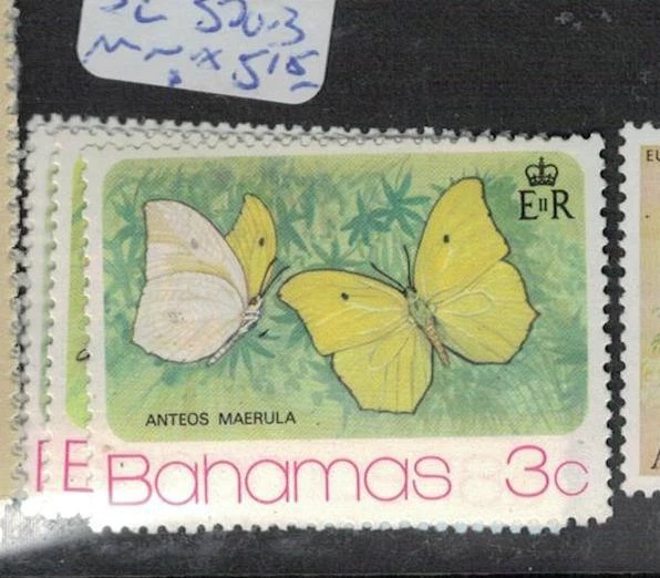 巴哈马蝴蝶 SC 370-3 全新无标签 (5efk) — 第 1/1 张图片